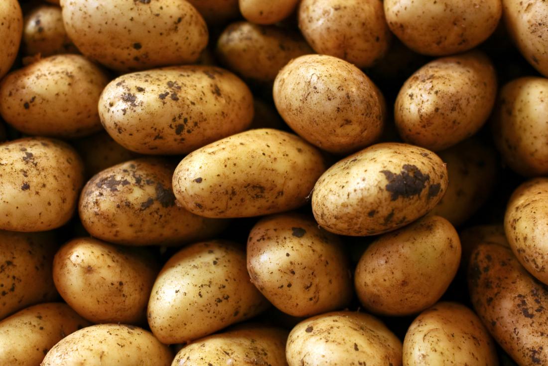 Potatoes preservation essay examples